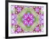 A Floral Montage-Alaya Gadeh-Framed Photographic Print