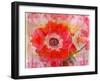 A Floral Montage-Alaya Gadeh-Framed Photographic Print