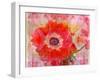 A Floral Montage-Alaya Gadeh-Framed Photographic Print