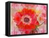 A Floral Montage-Alaya Gadeh-Framed Stretched Canvas