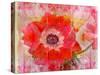 A Floral Montage-Alaya Gadeh-Stretched Canvas