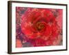 A Floral Montage-Alaya Gadeh-Framed Photographic Print