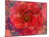 A Floral Montage-Alaya Gadeh-Mounted Photographic Print