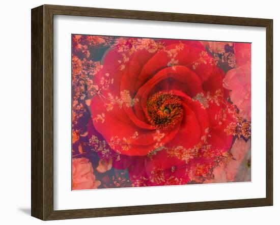 A Floral Montage-Alaya Gadeh-Framed Photographic Print