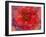 A Floral Montage-Alaya Gadeh-Framed Photographic Print