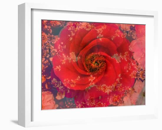 A Floral Montage-Alaya Gadeh-Framed Photographic Print