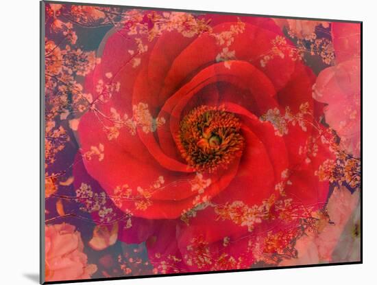 A Floral Montage-Alaya Gadeh-Mounted Photographic Print