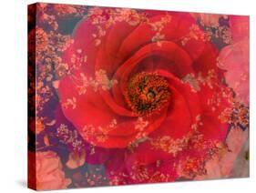 A Floral Montage-Alaya Gadeh-Stretched Canvas