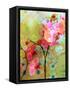 A Floral Montage-Alaya Gadeh-Framed Stretched Canvas