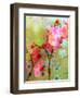 A Floral Montage-Alaya Gadeh-Framed Photographic Print