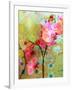 A Floral Montage-Alaya Gadeh-Framed Photographic Print