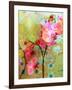 A Floral Montage-Alaya Gadeh-Framed Photographic Print