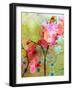 A Floral Montage-Alaya Gadeh-Framed Photographic Print