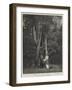 A Floral Painter (Miss Marianne North) in South Africa-null-Framed Giclee Print