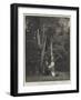 A Floral Painter (Miss Marianne North) in South Africa-null-Framed Giclee Print