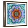 A Flower Mandala, Photographic Layer Work from a Painting-Alaya Gadeh-Framed Photographic Print