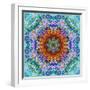 A Flower Mandala, Photographic Layer Work from a Painting-Alaya Gadeh-Framed Photographic Print