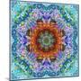 A Flower Mandala, Photographic Layer Work from a Painting-Alaya Gadeh-Mounted Photographic Print