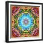 A Flower Mandala, Photographic Layer Work from a Painting-Alaya Gadeh-Framed Photographic Print