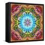 A Flower Mandala, Photographic Layer Work from a Painting-Alaya Gadeh-Framed Stretched Canvas