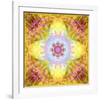 A Flower Mandala, Photographic Layer Work from Flowers-Alaya Gadeh-Framed Photographic Print