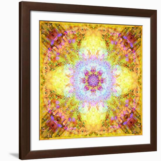 A Flower Mandala, Photographic Layer Work from Flowers-Alaya Gadeh-Framed Photographic Print