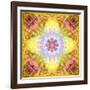 A Flower Mandala, Photographic Layer Work from Flowers-Alaya Gadeh-Framed Photographic Print