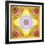 A Flower Mandala, Photographic Layer Work from Flowers-Alaya Gadeh-Framed Photographic Print