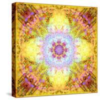 A Flower Mandala, Photographic Layer Work from Flowers-Alaya Gadeh-Stretched Canvas