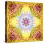 A Flower Mandala, Photographic Layer Work from Flowers-Alaya Gadeh-Stretched Canvas
