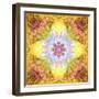 A Flower Mandala, Photographic Layer Work from Flowers-Alaya Gadeh-Framed Photographic Print