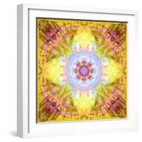 A Flower Mandala, Photographic Layer Work from Flowers-Alaya Gadeh-Framed Photographic Print