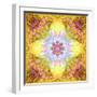 A Flower Mandala, Photographic Layer Work from Flowers-Alaya Gadeh-Framed Photographic Print