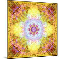 A Flower Mandala, Photographic Layer Work from Flowers-Alaya Gadeh-Mounted Photographic Print