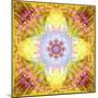 A Flower Mandala, Photographic Layer Work from Flowers-Alaya Gadeh-Mounted Photographic Print