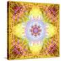 A Flower Mandala, Photographic Layer Work from Flowers-Alaya Gadeh-Stretched Canvas