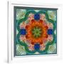 A Flower Mandala-Alaya Gadeh-Framed Photographic Print