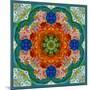 A Flower Mandala-Alaya Gadeh-Mounted Photographic Print