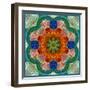 A Flower Mandala-Alaya Gadeh-Framed Photographic Print