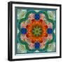 A Flower Mandala-Alaya Gadeh-Framed Photographic Print