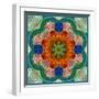 A Flower Mandala-Alaya Gadeh-Framed Photographic Print