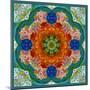 A Flower Mandala-Alaya Gadeh-Mounted Photographic Print