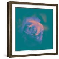 A Flower to Love-Philippe Sainte-Laudy-Framed Photographic Print