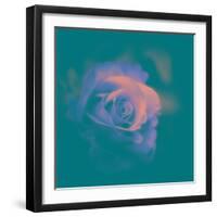 A Flower to Love-Philippe Sainte-Laudy-Framed Photographic Print