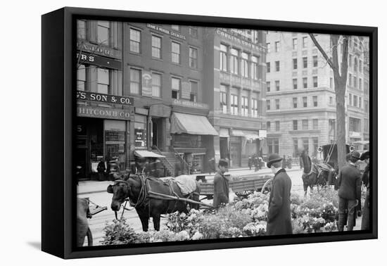 A Flower Venders Sic Easter Display, New York-null-Framed Stretched Canvas