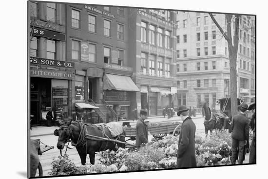 A Flower Venders Sic Easter Display, New York-null-Mounted Photo