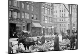 A Flower Venders Sic Easter Display, New York-null-Mounted Photo