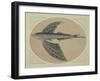 A Flying Fish (Engraving)-Thomas Bewick-Framed Giclee Print