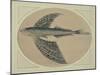 A Flying Fish (Engraving)-Thomas Bewick-Mounted Giclee Print