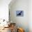 A Flying Fox Soars Above the Trees-null-Stretched Canvas displayed on a wall